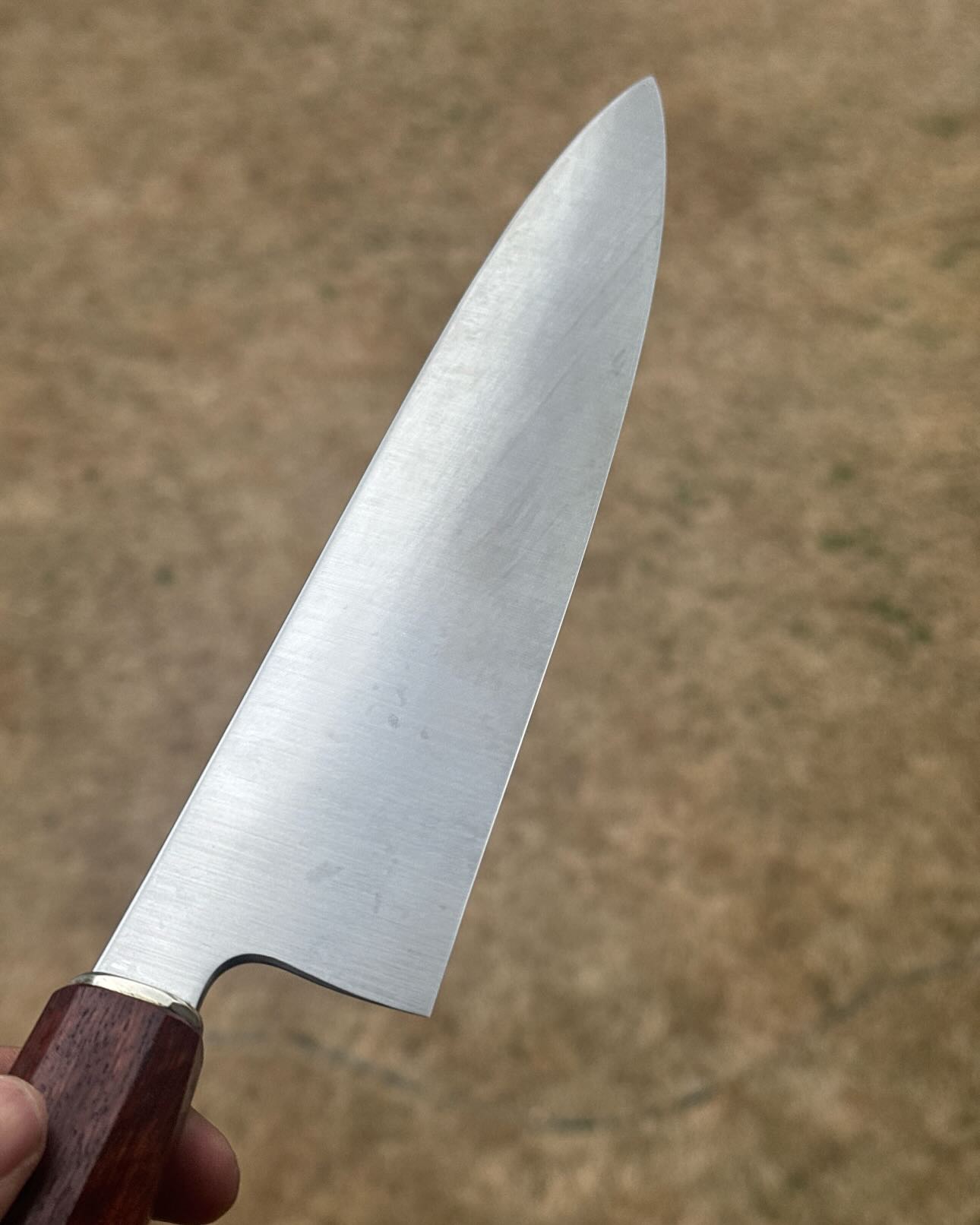Gyuto